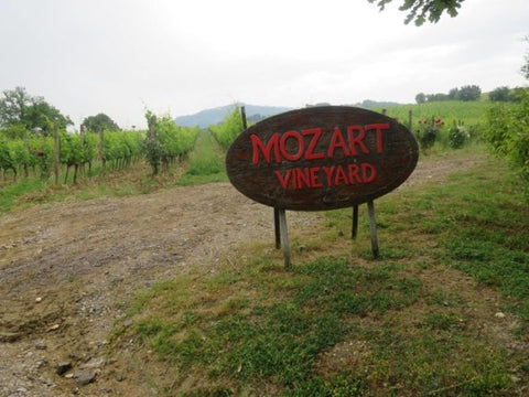 Sign with red text that says Mozart Vineyard in front of vines