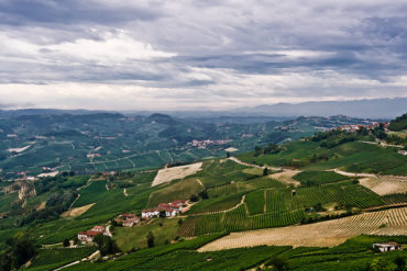 Italian countryside with rolling vineyards and wineries dotting the hillsides