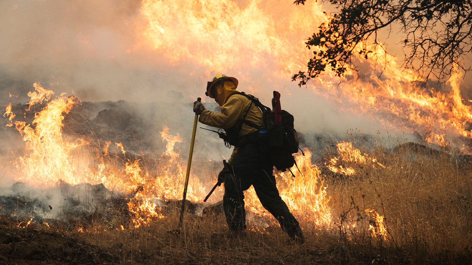 Explosive Lake County Fire Threatens Howell Mountain – Last Bottle Wines
