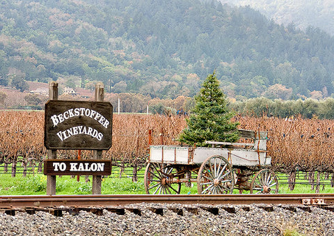 Beckstoffer To Kalon Vineyard