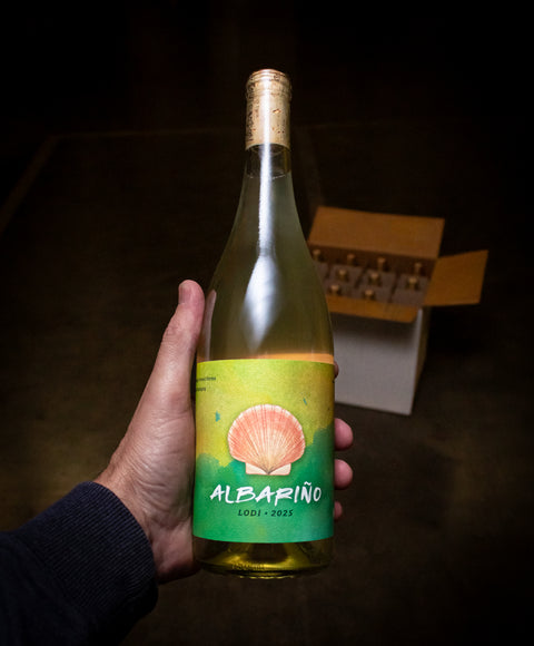 No Love Lost Albariño Lodi 2025 Wine - Last Bottle