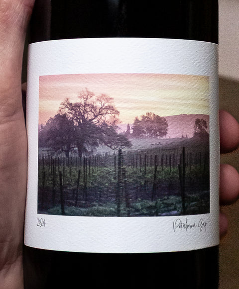 Dancing Wind Cellars Pinot Noir Kendric Vineyard Petaluma Gap 2024 Wine - Last Bottle